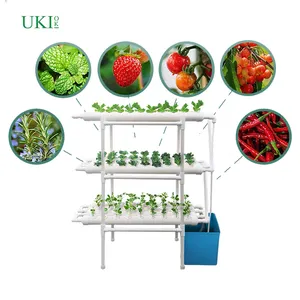 UKIOK yüksek verimlilik sebze Nft açık Hydroponic büyüyen sistemi marul