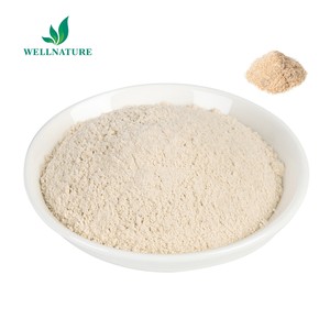 Polvo de Cáscara de <span class=keywords><strong>Psyllium</strong></span> de Grado Alimenticio a Granel, Suplemento de Fibra al 99%, Envase de 1 kg en Lata/Tambor - Product Image 2