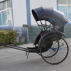 Carroza de Lujo Tipo Rickshaw, Carroza Real para Caballos en Venta, Transporte Especial, Carroza de 2 Ruedas para Poni, Rickshaw - Product Image 6