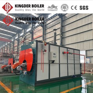 Caldaia a Vapore Industriale a Tubi Incandescenti ad Alta Produzione, Bassa Pressione, Stabile, con Armadio Quadrato DZS, 10 T/h, 1.25Mpa, Doppio Combustibile (Olio e Gas) - Product Image 6