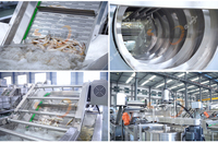 Ligne de production automatique de lavage de crevettes et de nettoyage de poisson en queue de phénix avec séchage à l'air, en acier inoxydable SUS 304/316, capacité 500-800 kg/h