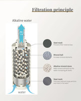 Botol Filter Air Minum Stainless Steel 316 400ml, Botol Filter Air Alkali, Botol Filter Dapat Diganti, OEM/ODM