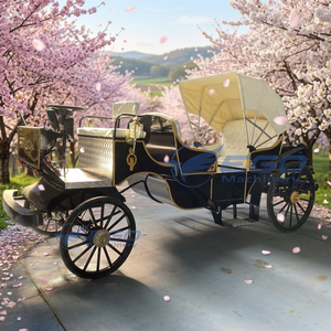 Calèche de Mariage Classique Directement de l'Usine, Calèche Victoria Personnalisée pour Mariage, Calèche Tirée par des Chevaux à Vendre - Product Image 1