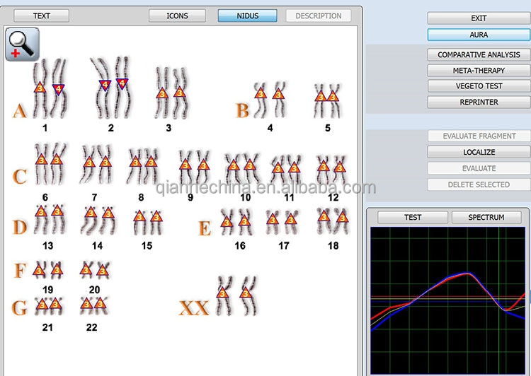 Hot selling 12d aura nls health analyzer with factory price