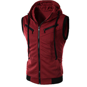 Sweat-shirts sans manches à fermeture éclair personnalisés avec logo imprimé, en polaire, pour l'automne, écologiques, en polyester/coton respirant pour hommes - Product Image 1