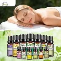 Diffuseur d'huiles sans eau en gros – Huiles essentielles 100 % pures et naturelles pour le raffermissement : Lavande, Menthe poivrée, Géranium, Citron vert, Rose, Bergamote