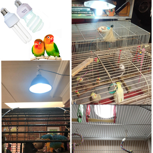 Lámpara UVB para Pájaros de Alta Calidad, 2.4% UVB, 20W UVA UVB, Espectro Completo, Bombilla CFL E26 E27, Lámpara Fluorescente Compacta, Luz UVB para Aves - Product Image 5