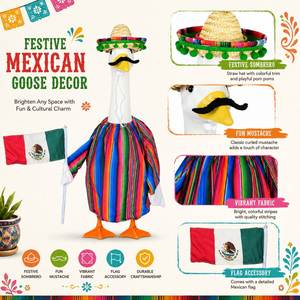 Disfraz de Ganso Mexicano para Fiesta, Vestido a Rayas Arcoíris, Sombrero, Bandera, Decoración para Jardín o Porche - Product Image 3