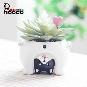<span class=keywords><strong>Pot</strong></span> de plante succulente d'intérieur en résine Roogo, <span class=keywords><strong>pot</strong></span> à fleurs en forme de cochon coupé - Product Image 3