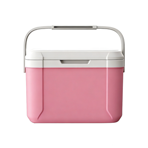 Nevera Portátil Multifuncional Aislada e Impermeable de 5L, Ecológica, para Alimentos y Bebidas, Precio Competitivo, Estilo Moderno - Product Image 1