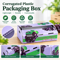 Boîte d'emballage pour raisins, robuste, impression personnalisée, boîte logistique en plastique ondulé, caisse réutilisable pour fruits et légumes