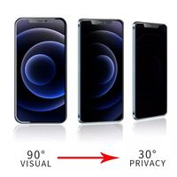 Vente en gros de protection d'écran en verre trempé Esd Og anti-espion pour iPhone 16 Pro Max