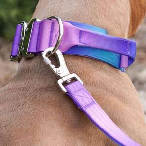 Collare e Guinzaglio per Cani JTPAWS in Nylon, Regolabile, Resistente, Facile da Maneggiare, Personalizzabile per Cani di Taglia Grande e Media - Product Image 2