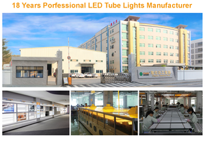Tube LED industriel T8 4FT 1.2M 180lm/w 10W remplace 18W, haute luminosité, économie d'énergie pour l'éclairage des entrepôts, supermarchés et magasins - Product Image 6