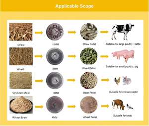 Nouvelle machine à granulés d'aliments pour animaux pour moutons, vaches, porcs, poulets, à haute efficacité, faible <span class=keywords><strong>consommation</strong></span> d'énergie, capacité de 1T/H - Product Image 5