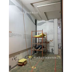 Servicios de Impresión In Situ para Inmobiliarias, Hoteles, Paredes Comerciales, Impresión en Láminas de Plástico, Diseño y Acabado de Superficies - Product Image 2