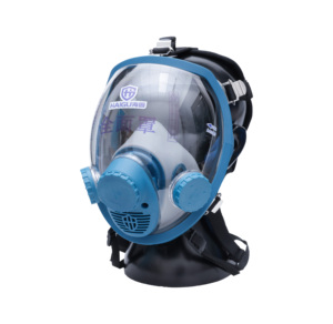 Mặt nạ phòng độc silicon tái sử dụng toàn mặt Haigu HG-800 chống mờ, nhiều cổng, sản xuất tại Trung Quốc, bán buôn tùy chỉnh - Product Image 2