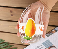 Boîte en plastique transparente en forme de mangue pour mousse au chocolat et desserts, en PET, avec couvercle, vente en gros