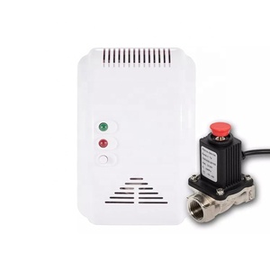Ev AC220V doğal LPG LNG yanıcı gaz kaçak dedektörü ile ab veya 3 Pin fiş - Product Image 1