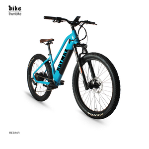 Vélo électrique Bafang 1000W à moteur central avec écran LCD pour adultes, 48V, pneus larges, écran couleur - Product Image 3