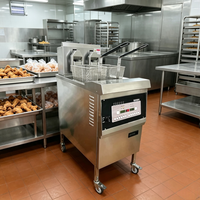 Industriële elektrische friteuse voor het frituren van kip, geschikt voor cateringbedrijven