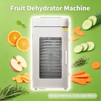 Commerciële fruitdroogmachine voor fruitverwerkingsbedrijven met efficiënte batchdroging voor de landbouwsector