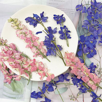 Fleurs d'alouette pressées séchées avec tiges pour le bricolage Sous-verres en résine Bougie Broderie Résine époxy Art Nail Art Décor