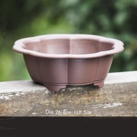 Dia. 26.8cm H.9.5cm Classique Grand Rond En Plastique Bonsaï Pots Succulent Planteur En Plastique Bonsaï Pot