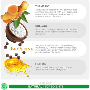 ขนมเคี้ยวขมิ้นชันสำหรับสุนัขแบบขายส่ง ดูดซึมเร็วและสูตรปลอดภัย เพื่อความยืดหยุ่นและความสบายของข้อต่อ - Product Image 3