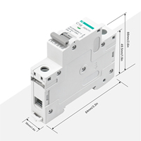 Interruptor Automático Miniatura (MCB) de CC, Tipo Compacto de Plástico PA66 para Paneles de Control Industrial de Bajo Voltaje, Seguridad