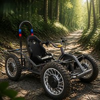 UTV Todoterreno Eléctrico 4x4 de 60V y 8000W, Go-Kart, Buggy Eléctrico para Dunas, Personalización OEM para Uso en Playa, Montaña y Granja