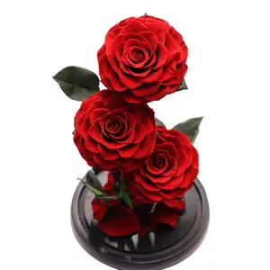 Factory Wholesale Valentine's Mother's Day Gift Preserved Flowers Preserved Rose In Glass