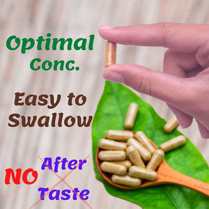 Oem Private Label 120 Capsules 1950Mg Zuurzak Graviola Bladeren Extract Natuurlijke Pure Biologische Supplement Voor Volwassenen Groothandel - Product Image 2