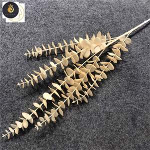 <span class=keywords><strong>Zamioculcas</strong></span> ดอกยูคาลิปตัส5แฉกใบไม้สำหรับงานแต่งงานการจัดดอกไม้ - Product Image 3