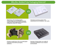 Cartons à œufs vierges en pâte de papier naturelle, supports et emballages pour œufs de poule frais