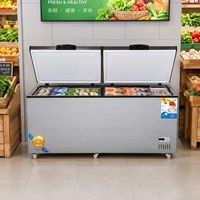 Congélateur coffre double température personnalisé, congélateur horizontal à double porte, stockage frigorifique commercial pour glaces, viande, produits laitiers