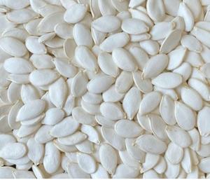 Fabricante profesional Semillas <span class=keywords><strong>de</strong></span> <span class=keywords><strong>calabaza</strong></span> gigantes <span class=keywords><strong>de</strong></span> la mejor calidad Blancanieves Semillas <span class=keywords><strong>de</strong></span> <span class=keywords><strong>calabaza</strong></span> - Product Image 6