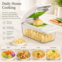 18-in-1 multifunctionele groentehakker, -snijder, -dicer, mandoline-snijder met opvangbak, voor uien, aardappelen en andere voedselbereiding in de keuken