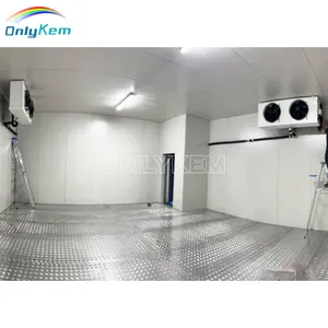 Commercial Freezer Container Provided mini Cold Storage Cool Room 10 Tons