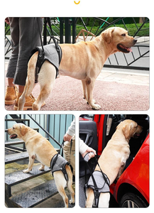 多機能シンプルポリエステル製犬用ハーネス、高齢犬の歩行補助、耐久性、回復、調節可能なペットサポートハーネス - Product Image 5