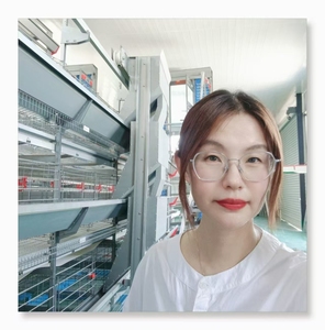 Gran oferta, <span class=keywords><strong>jaula</strong></span> para pollos tipo H, granja avícola, capa <span class=keywords><strong>de</strong></span> acero, batería, <span class=keywords><strong>gallinas</strong></span> ponedoras, sistema automático <span class=keywords><strong>de</strong></span> recolección <span class=keywords><strong>de</strong></span> <span class=keywords><strong>huevos</strong></span> - Product Image 1