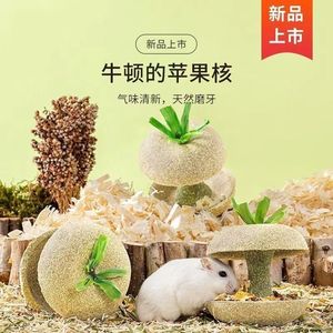 Barra de Masticar de Núcleo de Manzana para Hámster, Juguete Duradero para Mascotas de Interior, 75G - Product Image 3