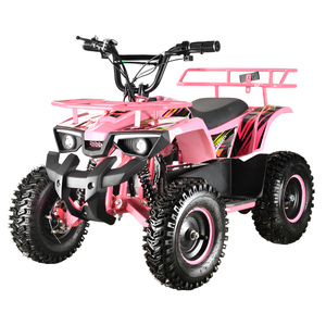<span class=keywords><strong>Quad</strong></span> électrique pour enfants de haute qualité <span class=keywords><strong>48V</strong></span> 800W avec moteur à balais, transmission automatique, freins à double disque, best-seller - Product Image 1