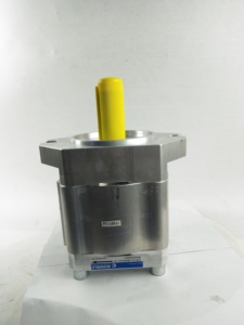 Bomba Hidráulica Eckerle, Bomba de Aceite EIPC5-064/80/100RK/RA/LK30-10, Bomba de Engranajes para Máquina de Moldeo por Inyección - Product Image 4