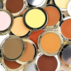 Etiqueta privada 21 colores Cosméticos faciales Impermeable a prueba <span class=keywords><strong>de</strong></span> sudor Control <span class=keywords><strong>de</strong></span> aceite Textura delicada Maquillaje Ajuste en polvo para la <span class=keywords><strong>vida</strong></span> diaria - Product Image 2