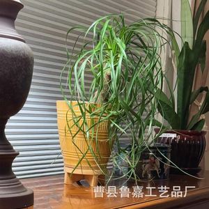 Plateau décoratif rond en bois pour pot de fleurs, support de table, couleur bois naturel, style rustique, emballage individuel - Product Image 1