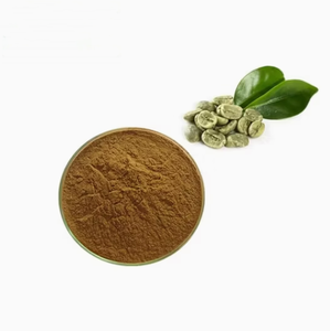Extracto de Granos de Café Verde Orgánico en Polvo, 50% de Ácido Clorogénico, Venta Caliente - Product Image 2