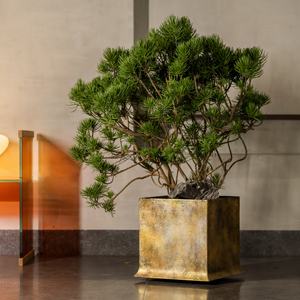 Maceta Cuadrada Grande <span class=keywords><strong>de</strong></span> Fibra <span class=keywords><strong>de</strong></span> Arcilla, Estilo Minimalista Moderno Chino, para Jardín y Hogar, Venta al por Mayor por Super Flowerpot Factory - Product Image 5