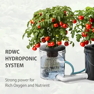 New Deep Water Culture 5 Gallon 5 7 9 Site Irrigation Rdwc Hydroponic Growing System Agriculture Cloner Bucket For Tomatoes