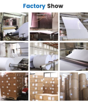 Yesion Produsen Profesional Kertas Foto Dry Lab Tahan Air untuk Epson D700/ Fujifilm Frontier DX100, Noritsu D701